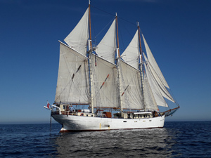 Rejs na jachcie Kapitan Borchardt